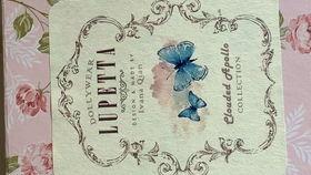 国产小布开箱视频下载