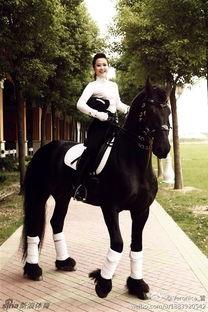 国产美女骑白马视频网站,网络视频引发热议