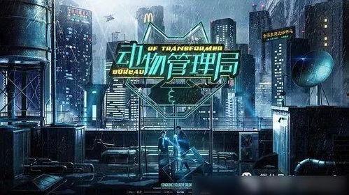 国产九1视频,揭秘中国科技新高度