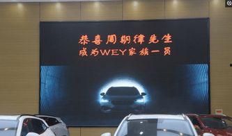 国产wey提车视频