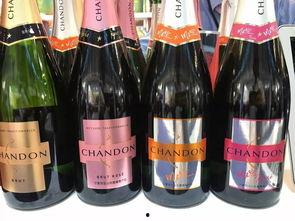 老外品尝国产红酒视频,老外品鉴国产佳酿之旅